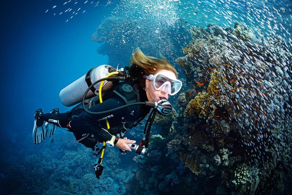 INMERSION DE BUCEO
